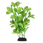 Underwater Treasures Silk Bacopa Monnieri - 8"