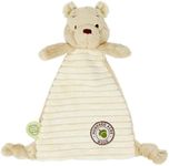 WINNIE THE POOH Rainbow Designs - Hundred Acre Wood - Baby Comfort Blanket, 200 g,RBD-TOY44