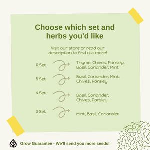 Indoor Herb Garden Jar Kit – 3-Pack Grow Set