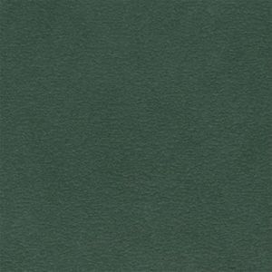 Liz Jordan-Hill Green Luxury Microsuede Upholstery Fabric by The Yard, Pet-Friendly Water Cleanable Stain Resistant Aquaclean Material for Furniture and DIY, AC Daytona Mallard 156 (10 Yards)