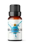 Sea Breeze Fragrance Oil, 10ml - Use in Aromatherapy Diffuser, Home Made Making, Potpourri, Candle, Soap, Slime, Bath Bomb, Air Freshener