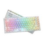 Womier 75% Percent Keyboard, Gasket Mount Mechanical Gaming Keyboard, K75 82 Keys Wired Custom Keyboard RGB Clear Keyboard, Hot Swappable Keyboard, Pre-lubed Switch for Mac/Win, Fully Transparent