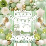 Sage Green Birthday Decorations, Green White Gold Balloons Birthday Party Decorations Happy Birthday Banner Tablecloth Green Fringe Curtain Birthday Crown Sash Paper Pom Poms for Girls Women Birthday