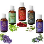 Exotic Aromas Essential Oil Lavender, Tea Tree, Rosemary, Rose, Jasmine (Pack of 5)