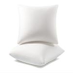 AM AEROMAX 18 ×18 Pillow Insert (Pa
