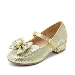 DREAM PAIRS Girls Dress Shoes Princess Shoes for Toddler Little Girl Mary Jane Low Heels Glitter Flower Party Wedding Footwear, Gold, 2 Little Kid