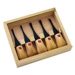 Flexcut Carving Tools, Beginners Palm Set, Gouges for Woodcarving, Set of 5 (FR310)
