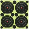 Birchwood Casey Shoot-N-C 3-Inch Round Bull's-Eye Target (Pack of 12)
