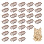 Dreamlover Brown Wig Clips, 9 Teeth Snap Hair Clips for Wigs, Stainless Steel Hair Extension Clips, 30 Pieces