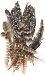 Jortmrd 30 Pcs Plumas Decorativas Naturales Plumas de Pavo 12-20 cm Plumas de Faisán para Manualidades 3 Estilos de Plumas para Disfraces de Carnaval,Máscaras,Decoración de Bodas y Fiestas