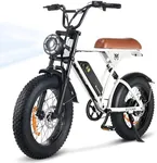 CYCROWN CycRun Electric Bike for Ad