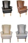Generic Wing Chair Orthopaedic High