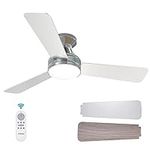 Amico Ceiling Fans with Lights, 40 