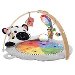 Baby Einstein Zen's Activity Milestones Plush Gym with Wooden Bar, for Infant to Toddler, 0-12 Months, Machine Washable