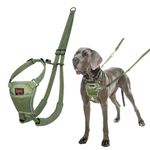 Halti No Pull Harness - Stop Your Dog Pulling on the Lead. Adjustable, Lightweight and Easy to Use. Reflective Dog Training Harness for Large Dogs (Size L, Forest Green)