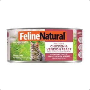 Feline Nat