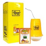 Outdoor Fly Traps