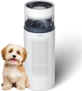 2 in 1 Air
