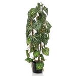 Blooming Artificial Plants Indoors in Pots, Faux Decorative Foliage, No Hassle, Easy Care, Perfect for Bringing Life to Indoor Spaces (Climbing Anthurium) (Green) (75cm)
