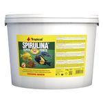 Tropical Super Spirulina Forte Flake Food with 36% Spirulina (Platensis) Content, Pack of 1 (1 x 11 L)