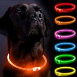 LED Dog Co