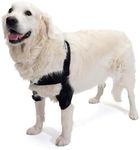 Ortocanis - Elbow Orthosis for Dogs