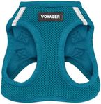 Best Pet Supplies, Inc. Voyager Ste