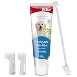 Dog Toothbrush and Toothpaste Kit s