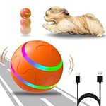 BigTuto Interactive Dog Ball Toys, 