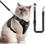 Cat Harness and Leash for Walking,