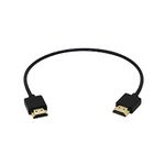 CERRXIAN High-Speed 4K, Ultra HD, HDMI 2.0 Cable - 0.3m / 1 Feet (Latest Standard) Supports Ethernet, 3D, Audio Return(HDMI Male to HDMI Male)