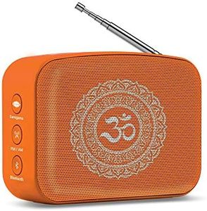 Saregama C