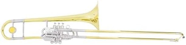 Cecilio 4Series TB-483 Intermediate