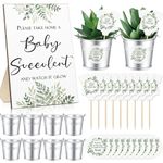 151 Pcs Baby Shower Favors for Guests Include 1 Greenery Baby Shower Decoration 50 Watch Me Grow Succulent Tags 50 Small Metal Bucket Mini Buckets Baby Succulents Favors for Baby Shower, No Succulent