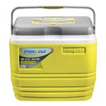 Pinnacle Primero Ice Cooler Box | Travel Party Bar for Ice Cubes | Cold Drinks | Medical Purpose | Keeps Cold Upto 72 Hours (25 Litre, Green)