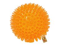 Foodie Puppies Squeaky Spike Ball Toy for Medium to Large Dogs - (Porcupine Ball) | Bouncy and Attractive Sound | TPR Rubber Teeth Cleaning Dental and Gum Health for Your Pet.