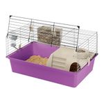 Ferplast Guinea Pig Cage Small Animal Cage CAVIE 15 made of Plastic, Accessories included, 70 x 47 x 37,5 cm