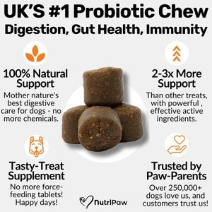 NutriPaw Digestive Treats for Dogs – Probiotic Chews