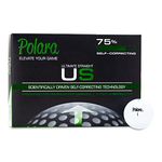 Polara Ultimate Straight Self Correcting 2 Piece Golf Balls (1-Dozen)