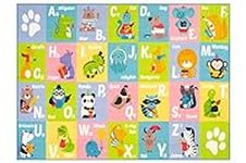 KC CUBS ABC Alphabet Animal Educati