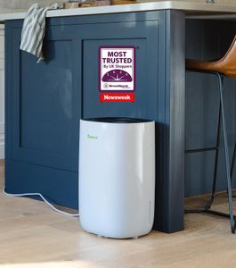 Meaco MeacoDry Dehumidifier – Black, Compact Home Moisture Removal