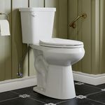 HOROW 19 Inch Tall Toilets, Extra H
