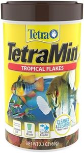 Tetra Tetr