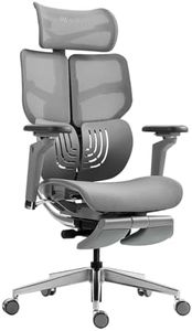HINOMI X1 High-end Ergonomic Office Chair with 3D Adjustable Lumbar Support/ 4 Panel Backrest/ 6D Armrest and Legrest (Grey, Large)