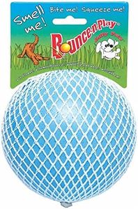 Jolly Pets Toys 881157 Jolly Bounce-N-Play Dog Toy, 4.5-Inch, Blueberry