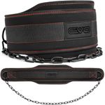 EvoFitness EVO Weightlifting dip belt Neoprene Gym Support Straps GEL Wraps with Chain Fits (Matte Black)