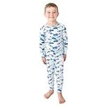 Posh Peanut Boys Pajama Sets - Visc