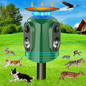 Ultrasonic