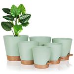 FORAGIFT Self-Watering Plant Pots Indoor, 20/17.5/16.5/15/14/12.5cm Plastic Flowerpots with Drainage Holes Saucer and Reservoir, Indoor Modern Decorative Planters for All House Plants, Green