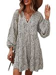 TEMOFON Womens Long Sleeve Dress: Leopard Printed Tunic Casual Loose V Neck Fall Flowy Mini Dresses S-XL, 4045-white, X-Large